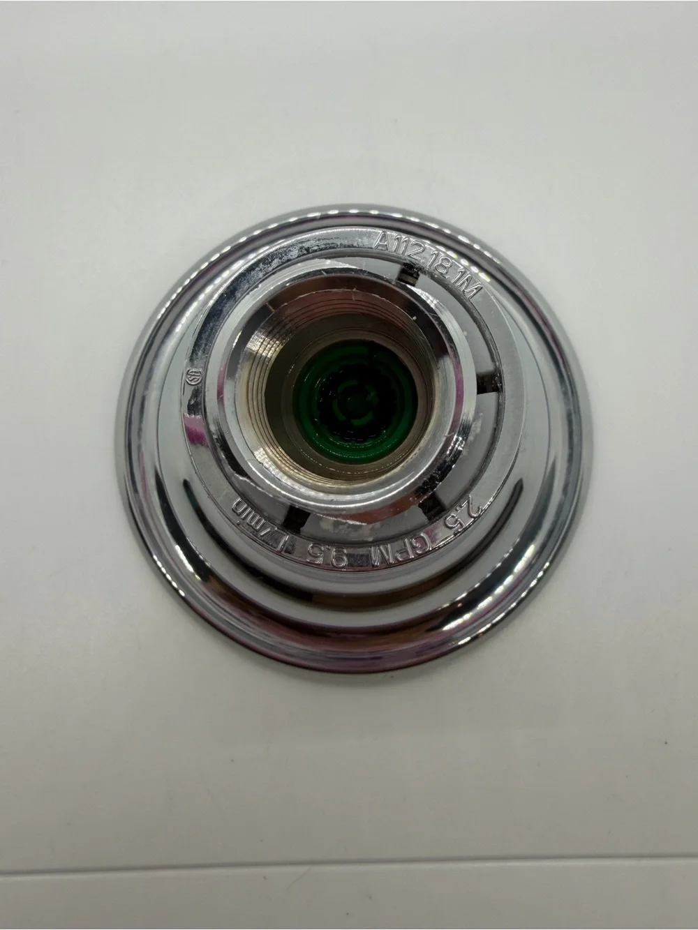 Moen Chrome Showerhead with Taupe Spray Face